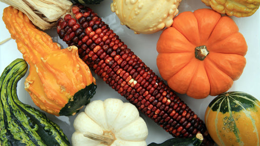 Seasonal Styling: Simple Ways to Make Your Table Feel Alive