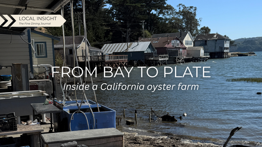 Where Oysters Meet the Table: A Day at Hog Island