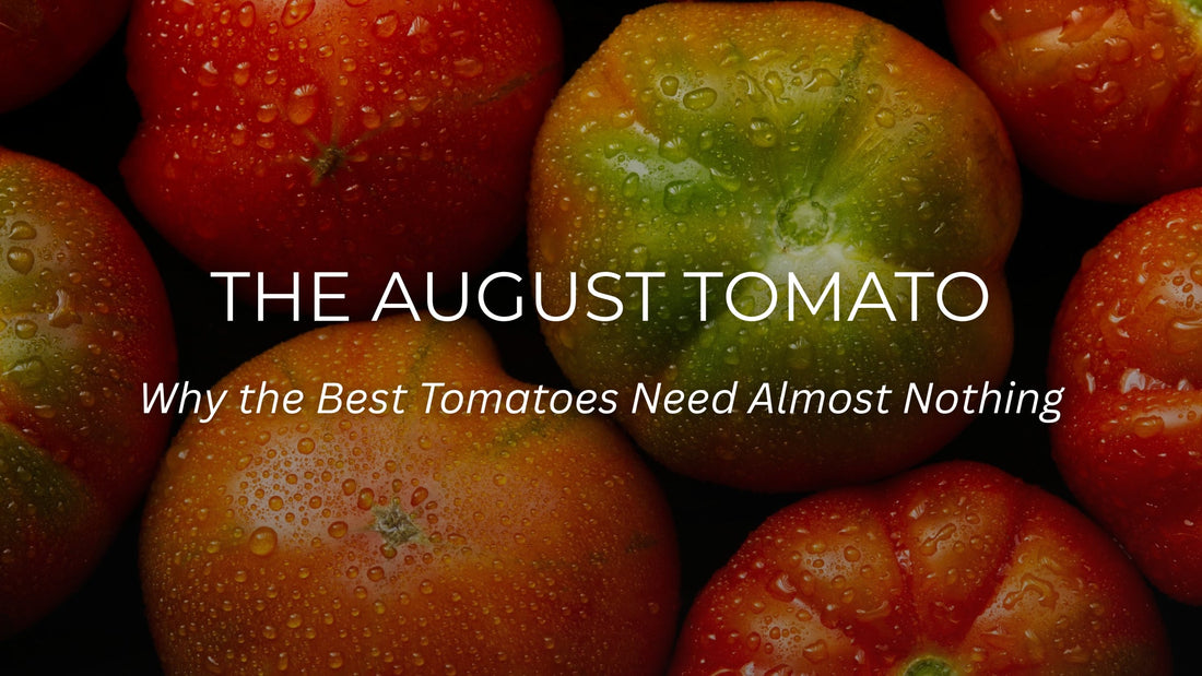 When a Tomato Becomes the Dish