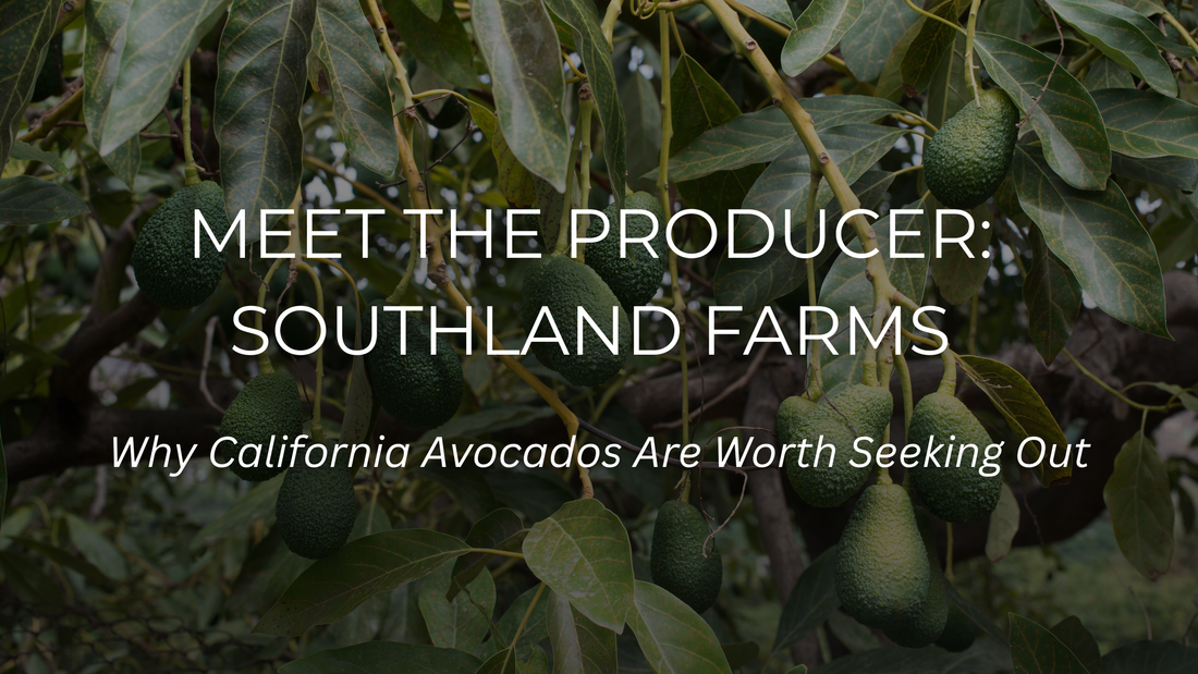 Southland Farms — Why California Avocados Are Worth Seeking Out